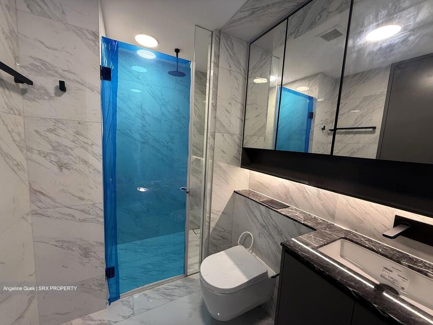 The Landmark (D3), Condominium #521580151